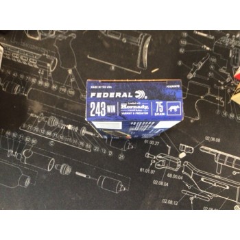 .243 Federal 75gr V-MAX - Box of 20 .243 Federal 75gr V-MAX - Box of 20